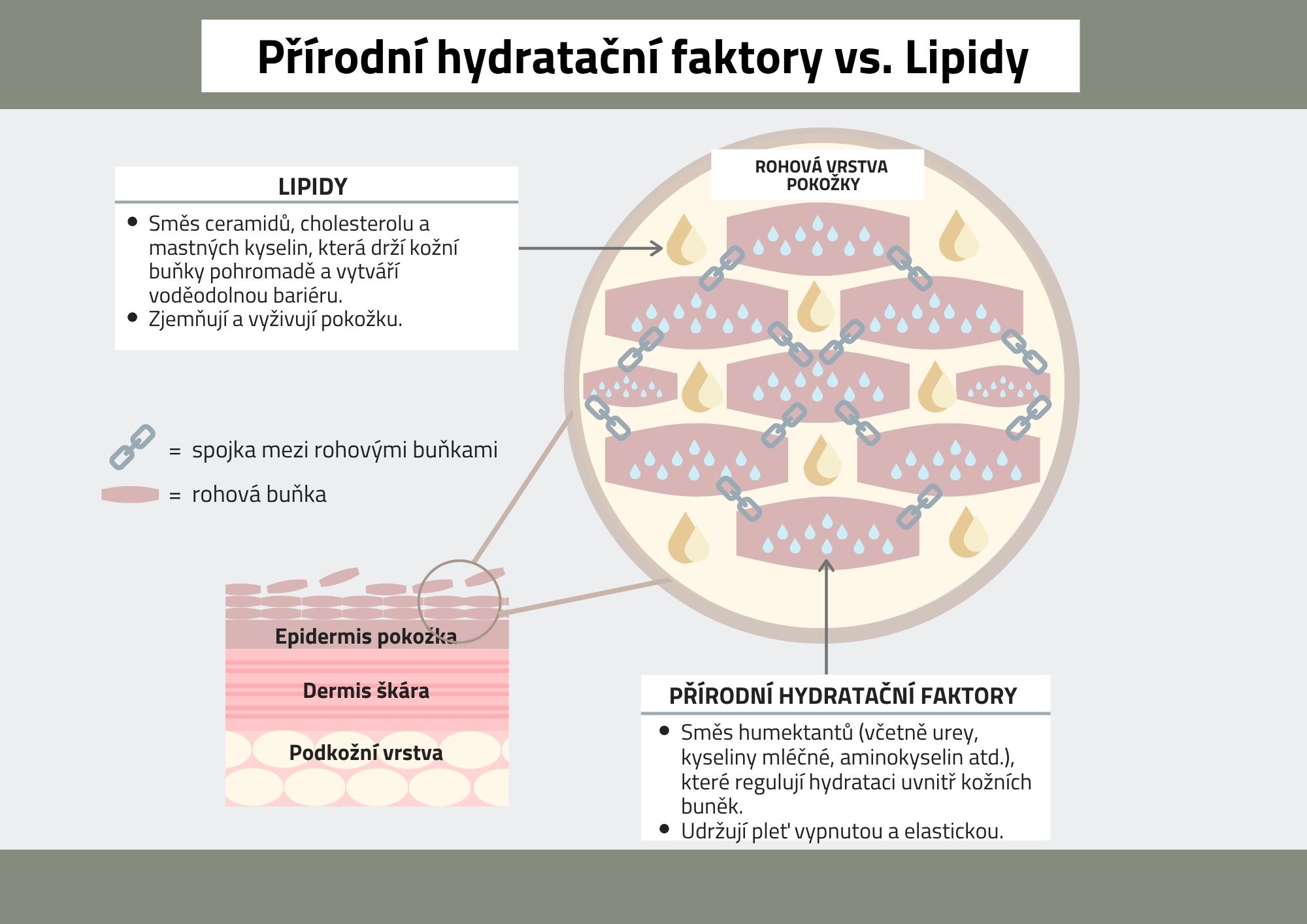 lipidy a hydratace na podzim a v zime