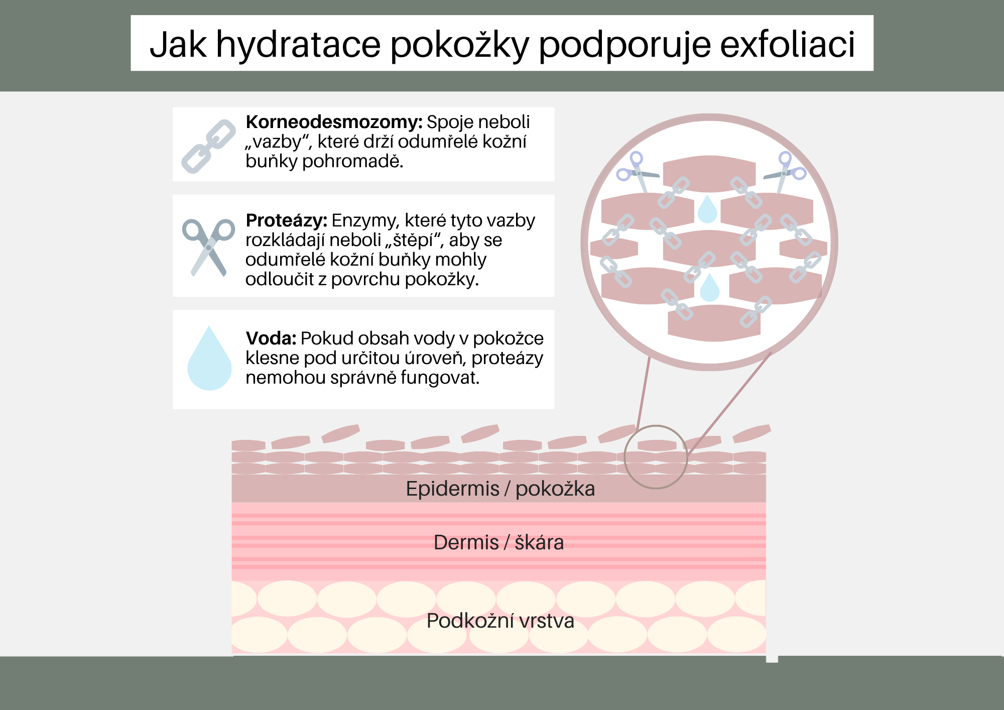 jak hydratace ovlivňuje exfoliaci