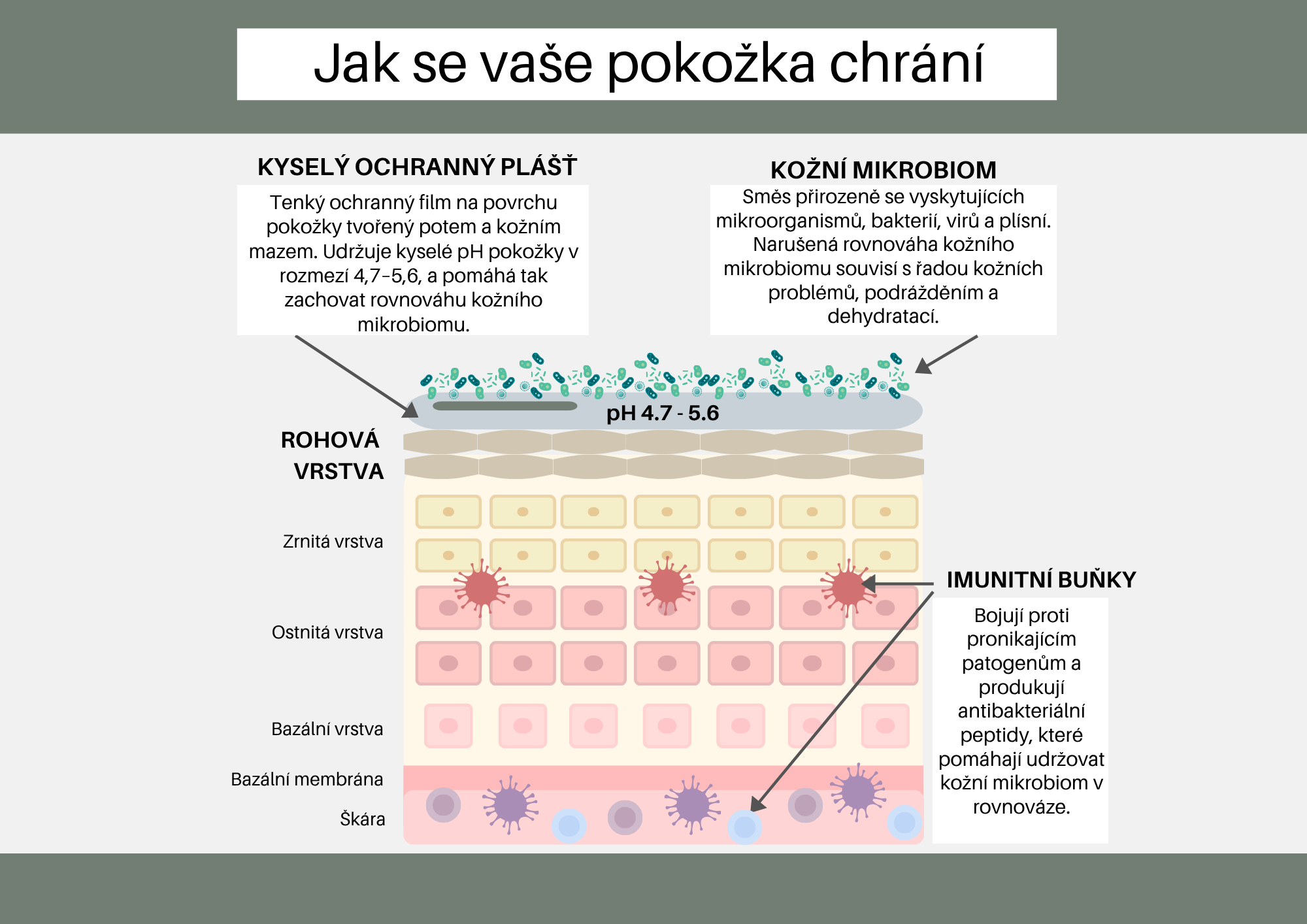 jak se pokožka chrání