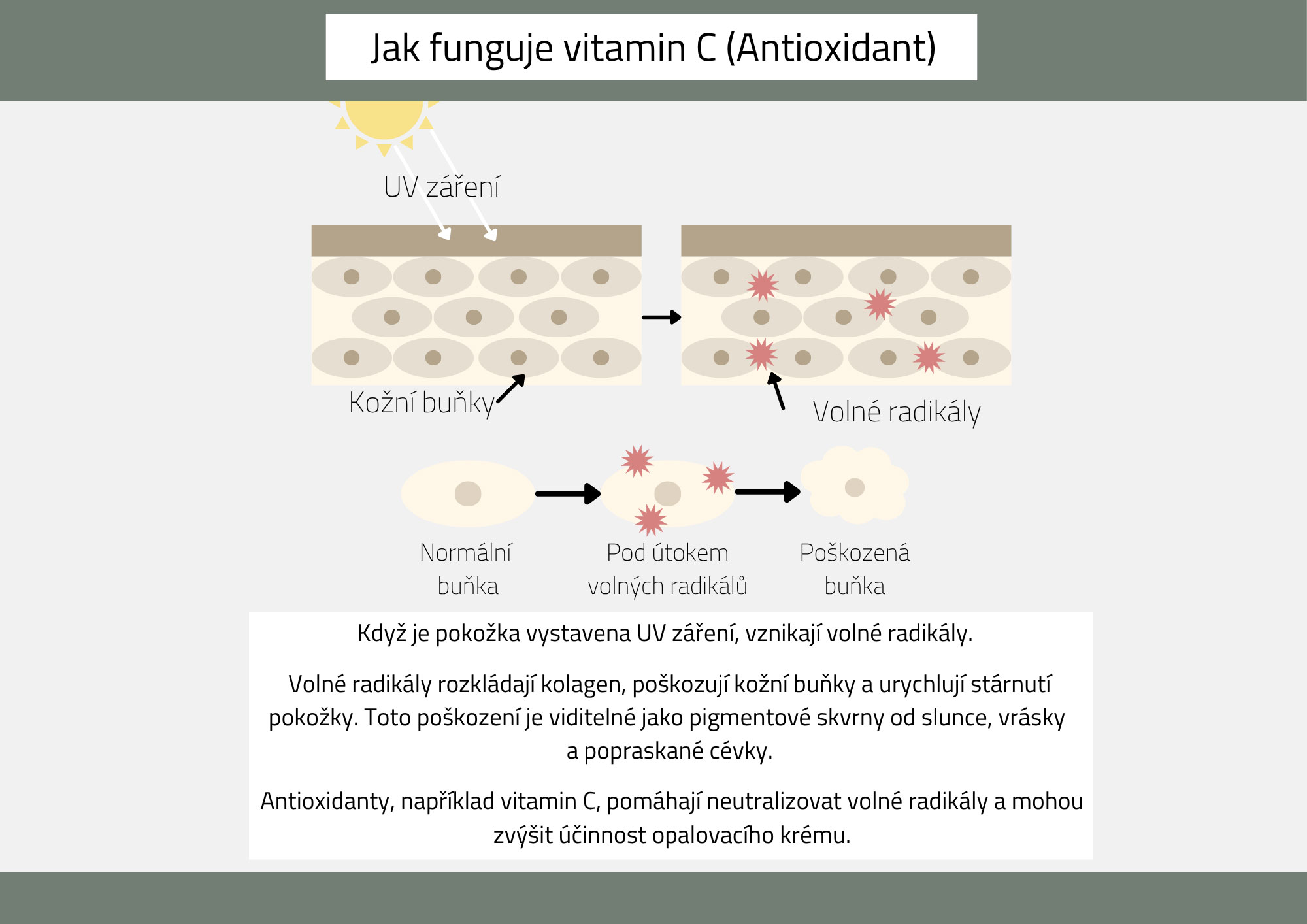 vitamin c jako antioxidant