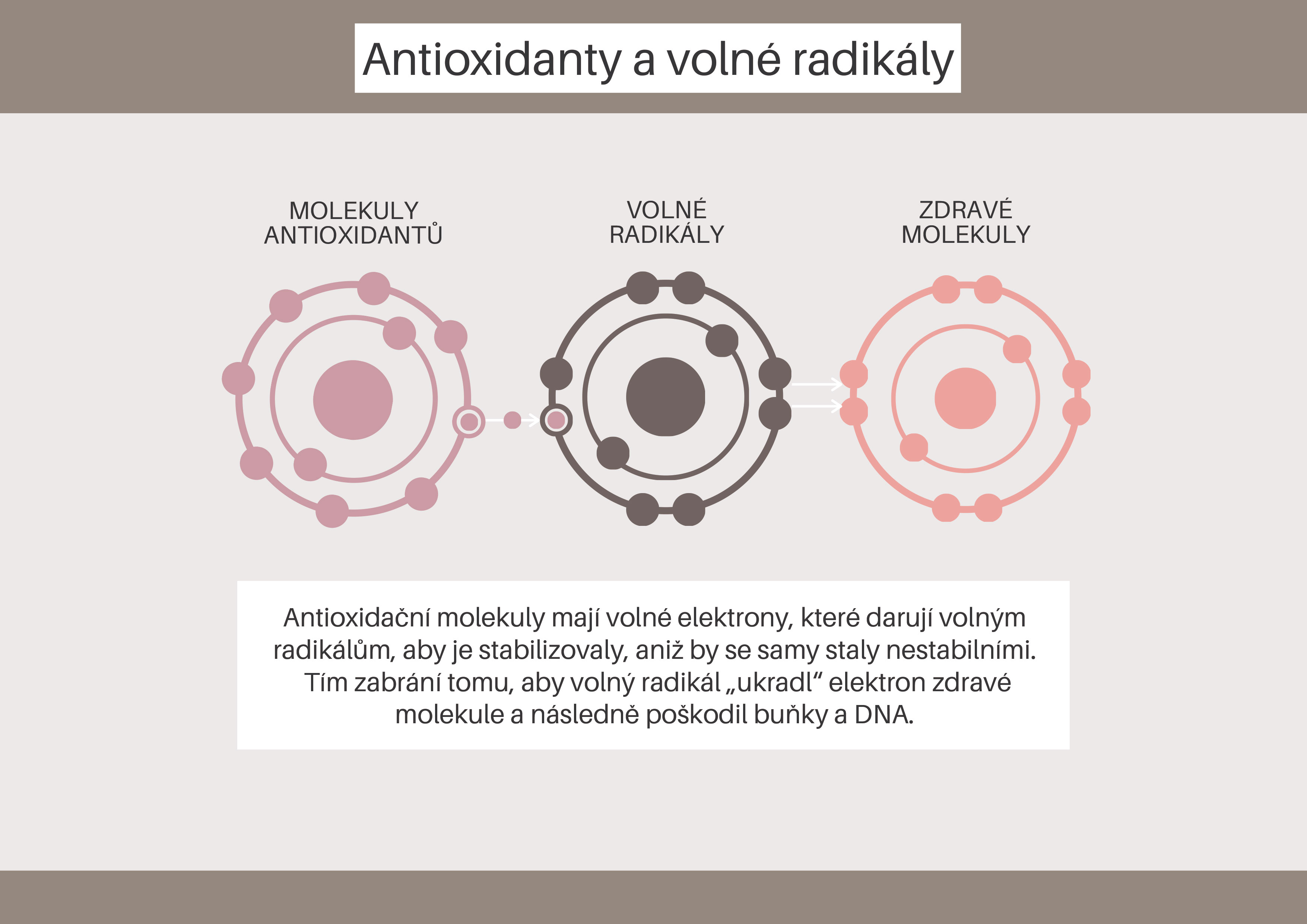 antioxidanty schéma