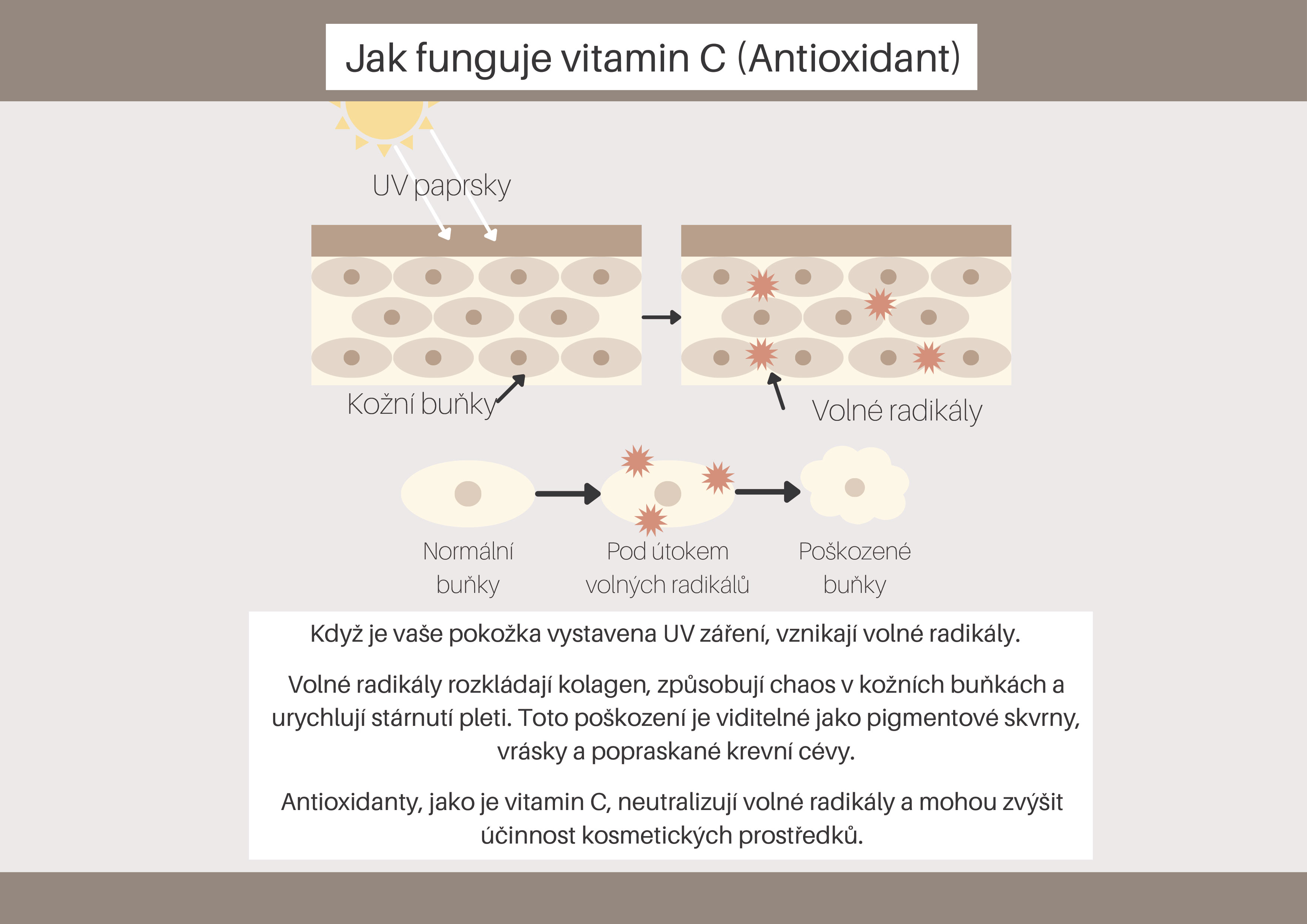 jak funguje vitamín C