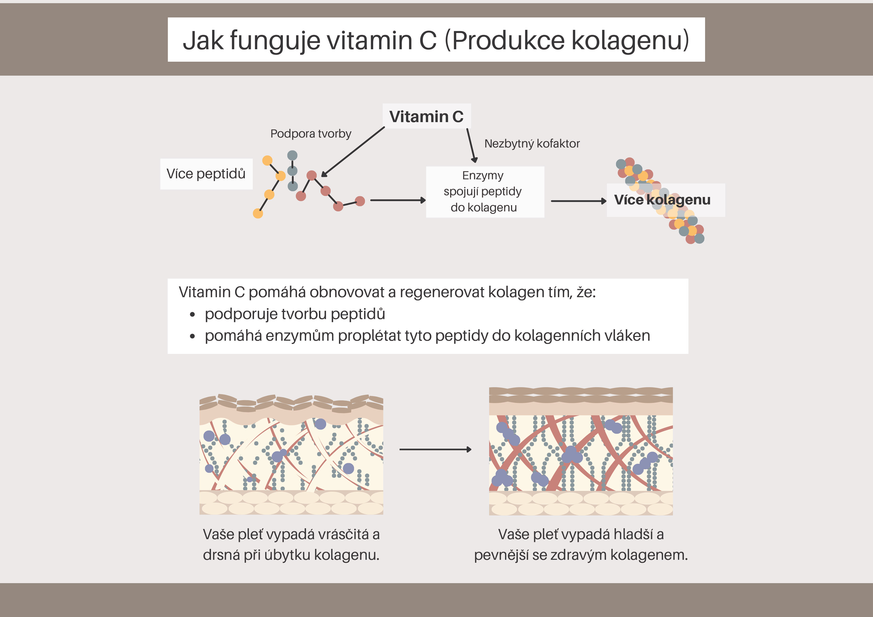 vitamín C a produkce kolagenu